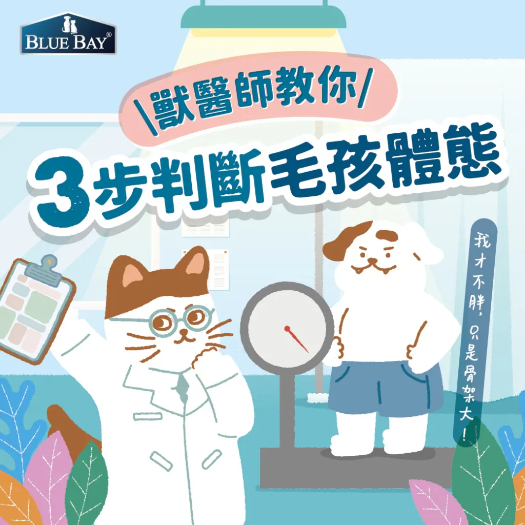 3步判斷毛孩體態