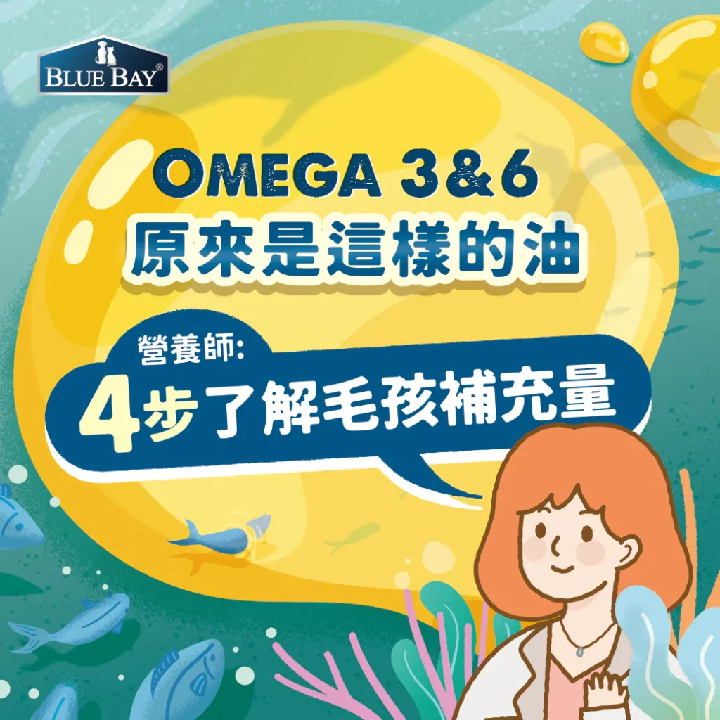 Omega-3 & 6 原來是這樣的油