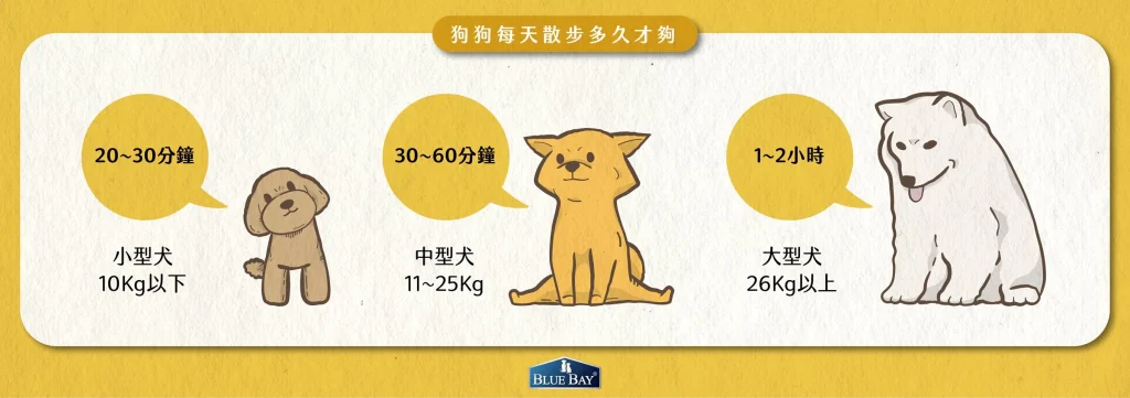 《了解寶貝的運動量需求》