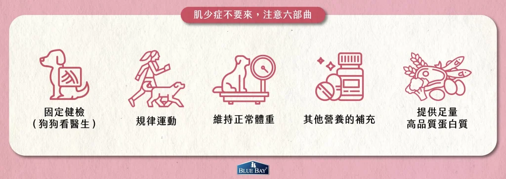 《不是只有高齡毛孩要留意》