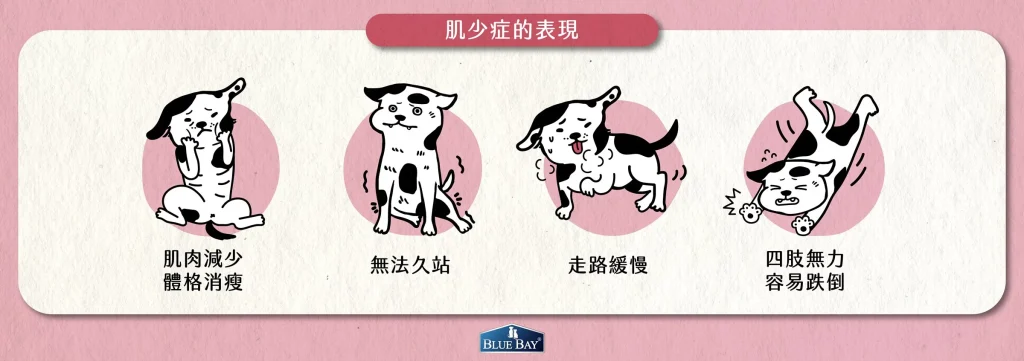 《肌少症的發生會有甚麼徵兆？》