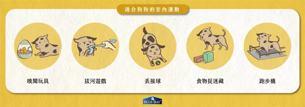 《運動有很多種形式》