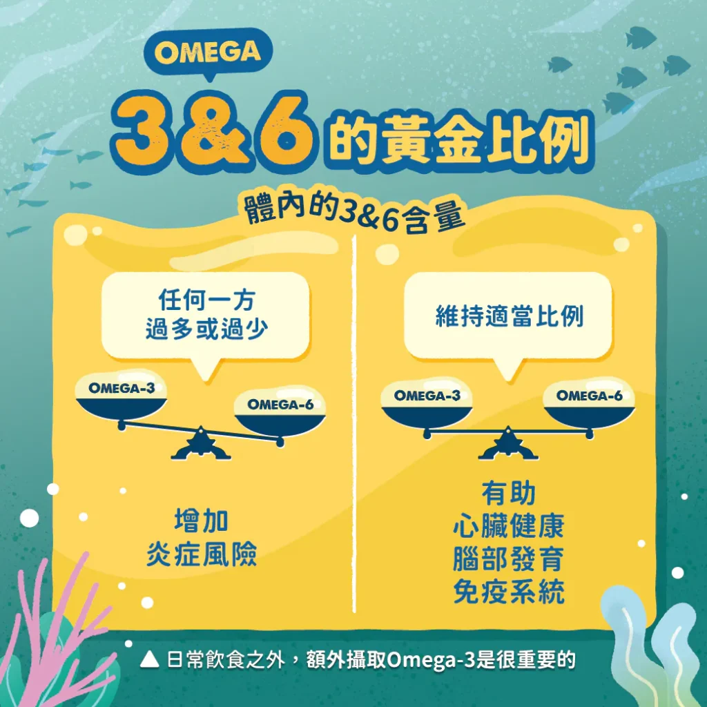 【Omega-3與Omega-6的黃金比例】