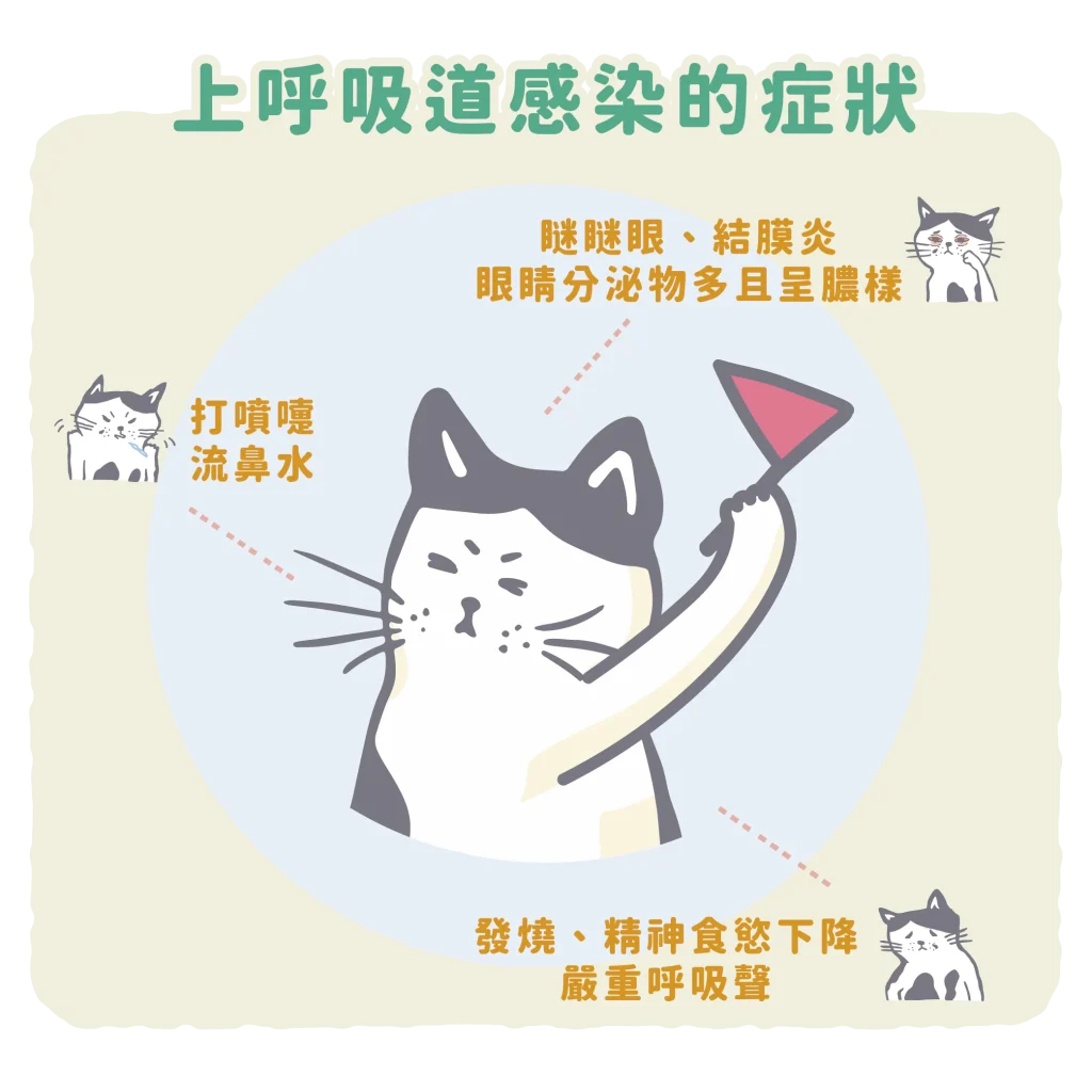 【上呼吸道感染的症狀】