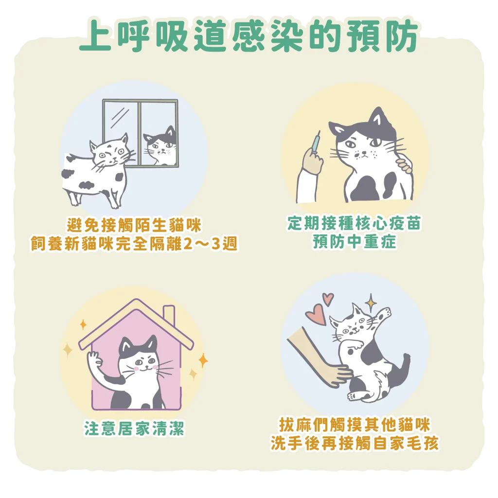 【上呼吸道感染的預防】