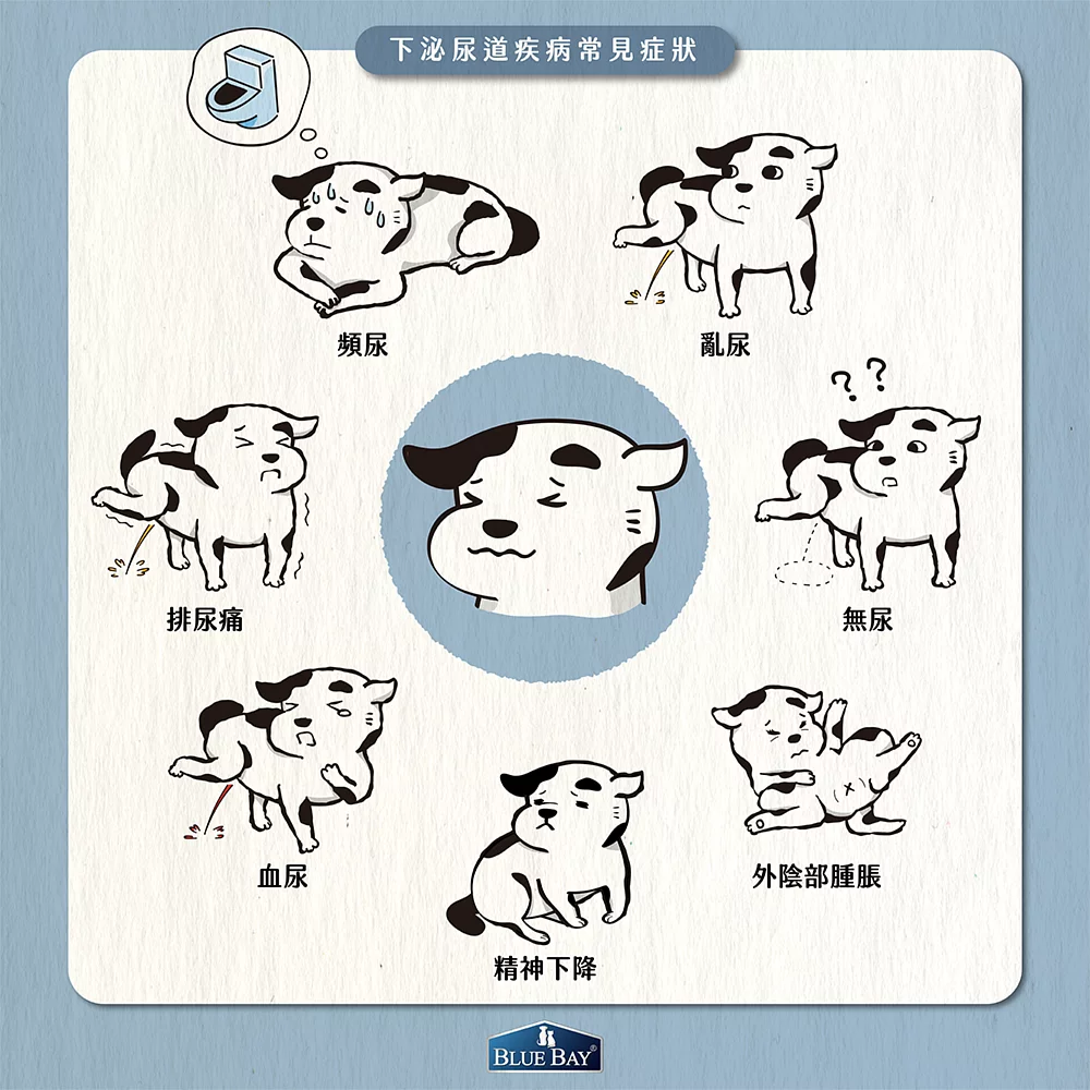 【下泌尿道疾病常見症狀】