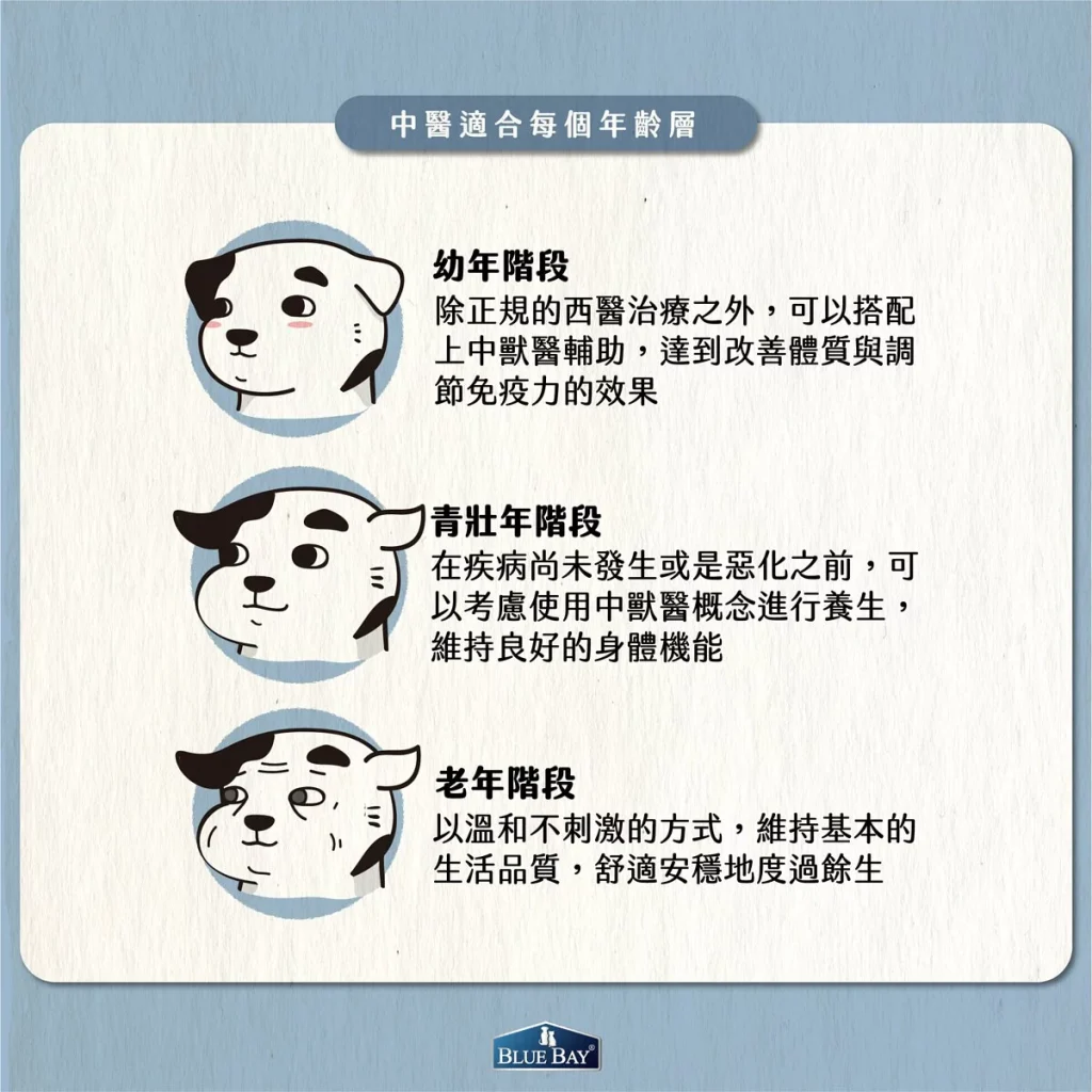 【中獸醫使用時機】