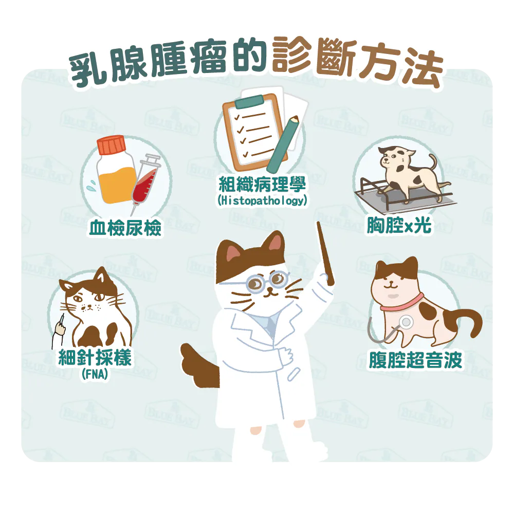 【乳腺腫瘤的診斷及治療】