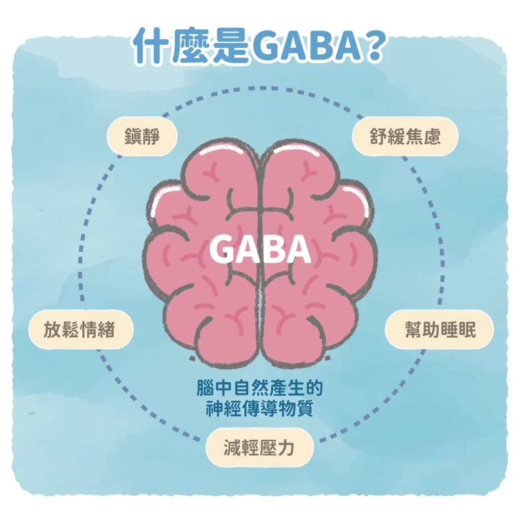 【什麼是GABA】