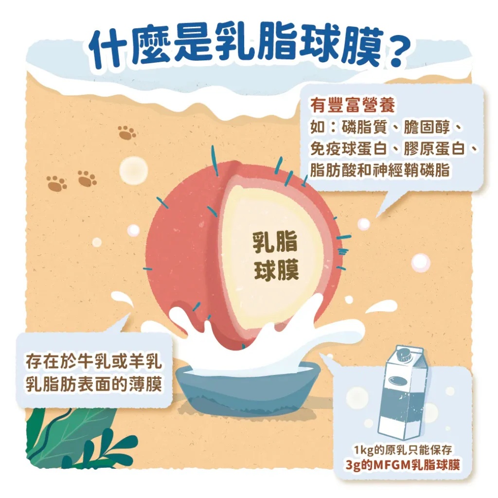 【什麼是乳脂球膜】