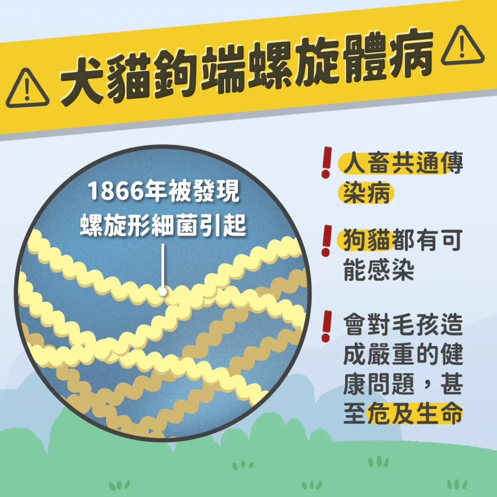 【什麼是犬貓鉤端螺旋體病】