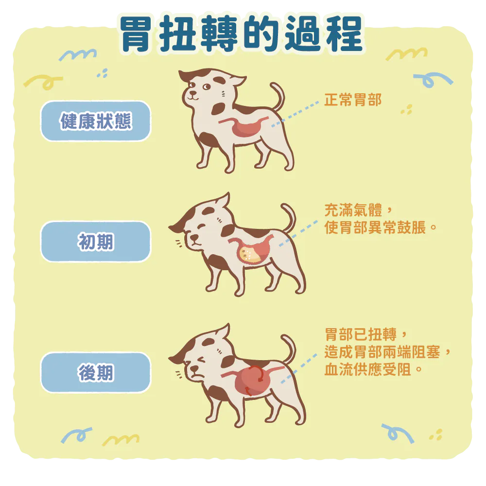 【什麼是胃扭轉？】