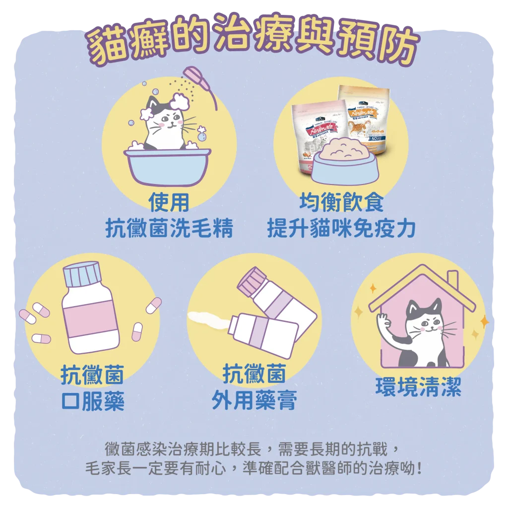【如何治療與預防貓癬呢？】