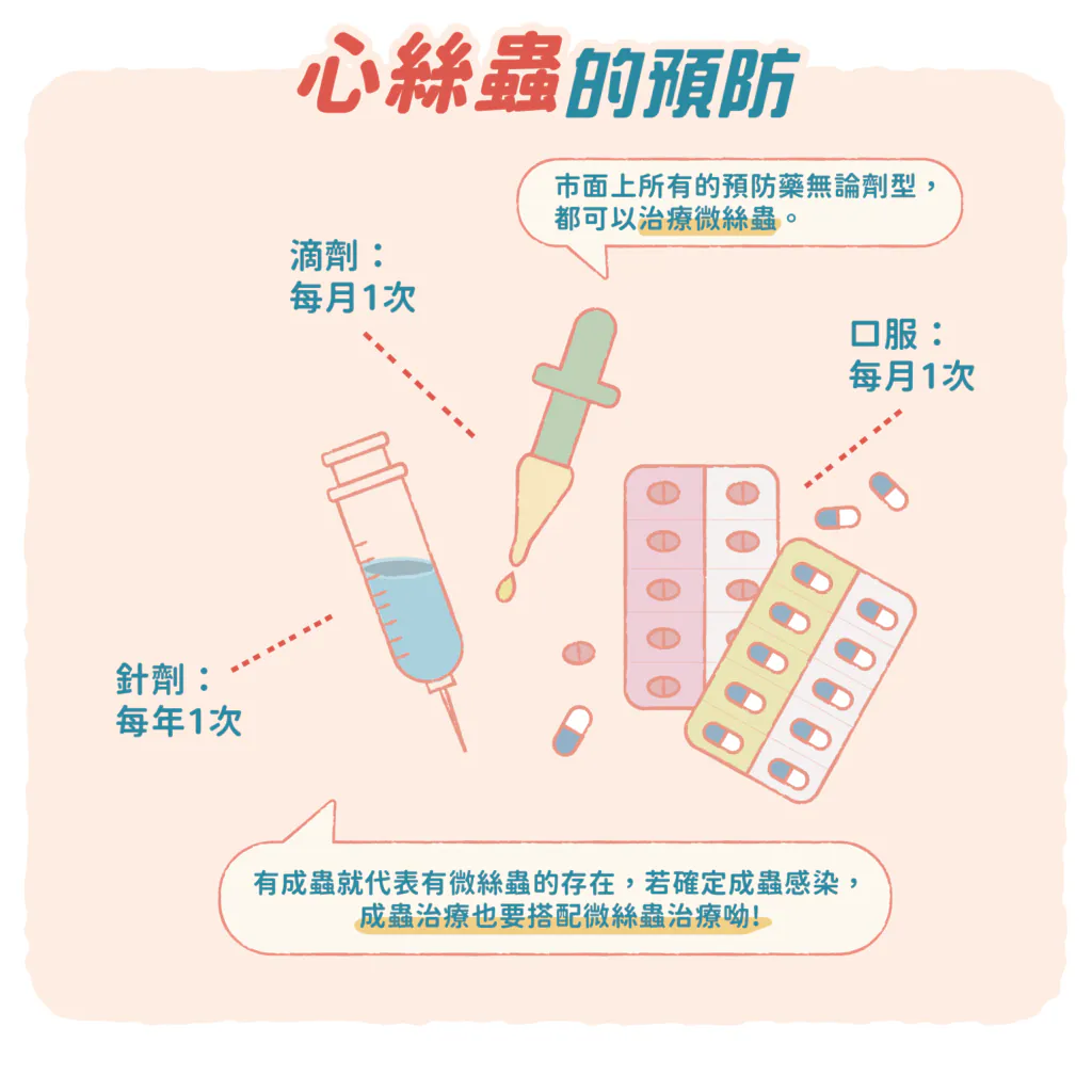 【心絲蟲的預防】