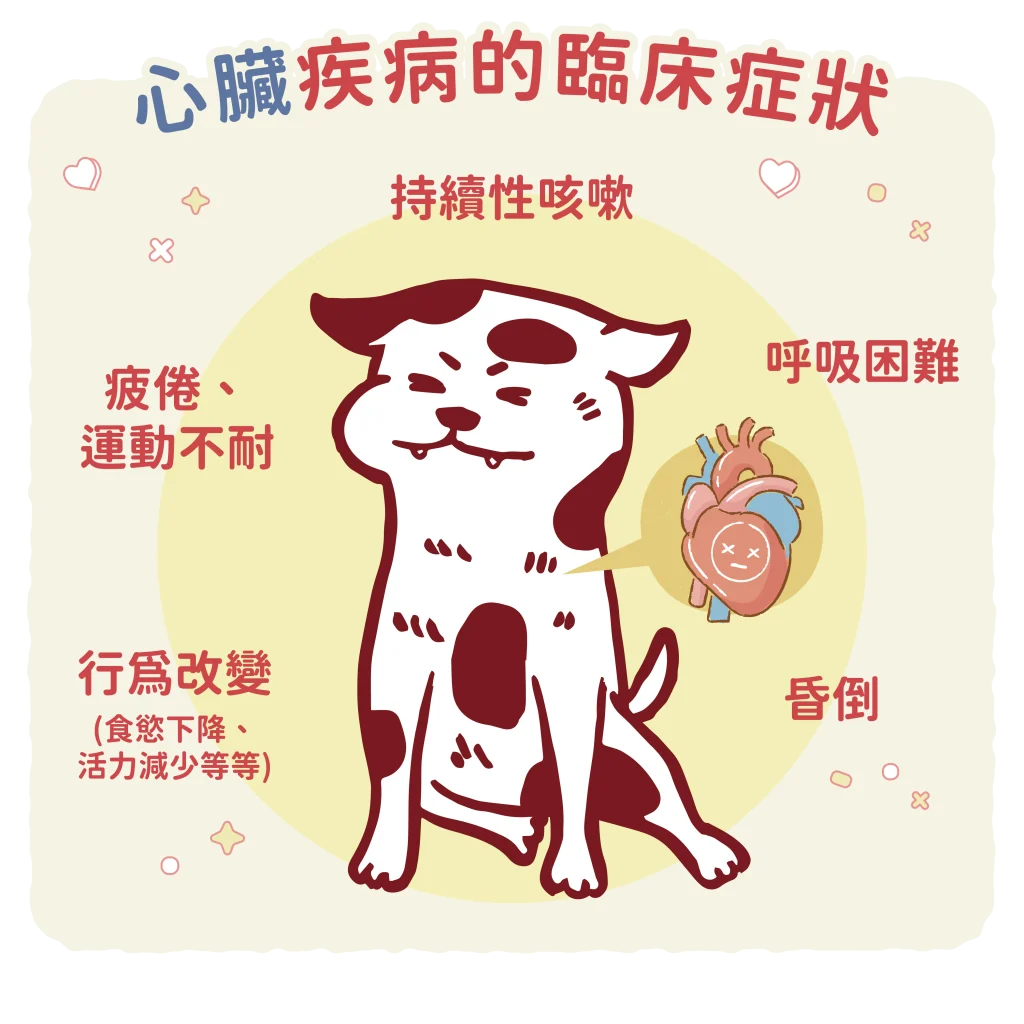 【心臟疾病的臨床症狀】