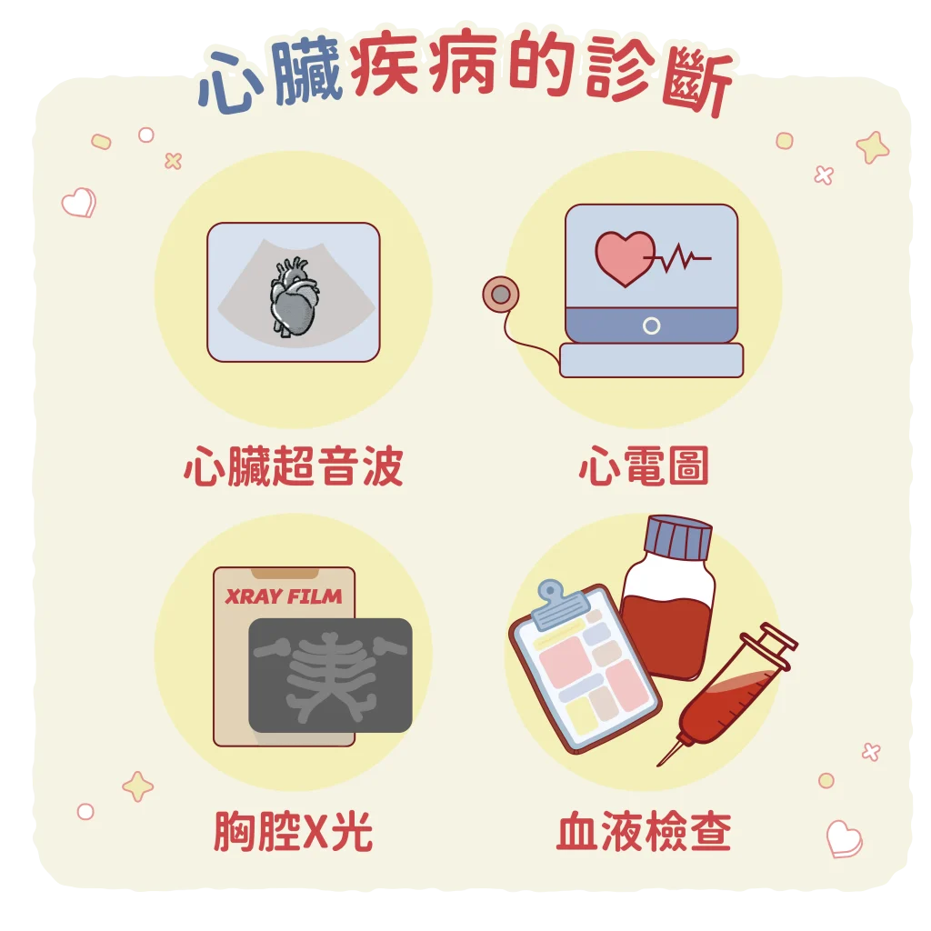 【心臟疾病診斷】