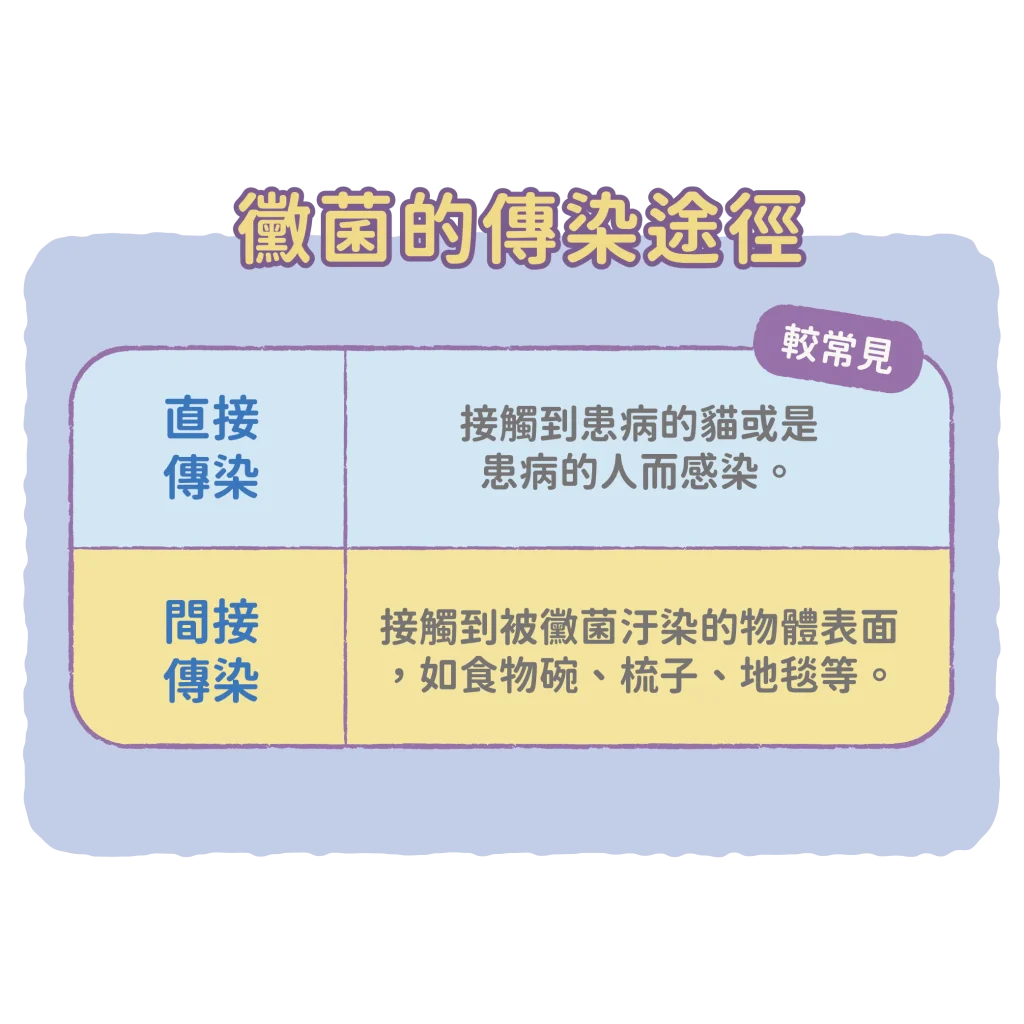 【怎麼會感染黴菌呢？】