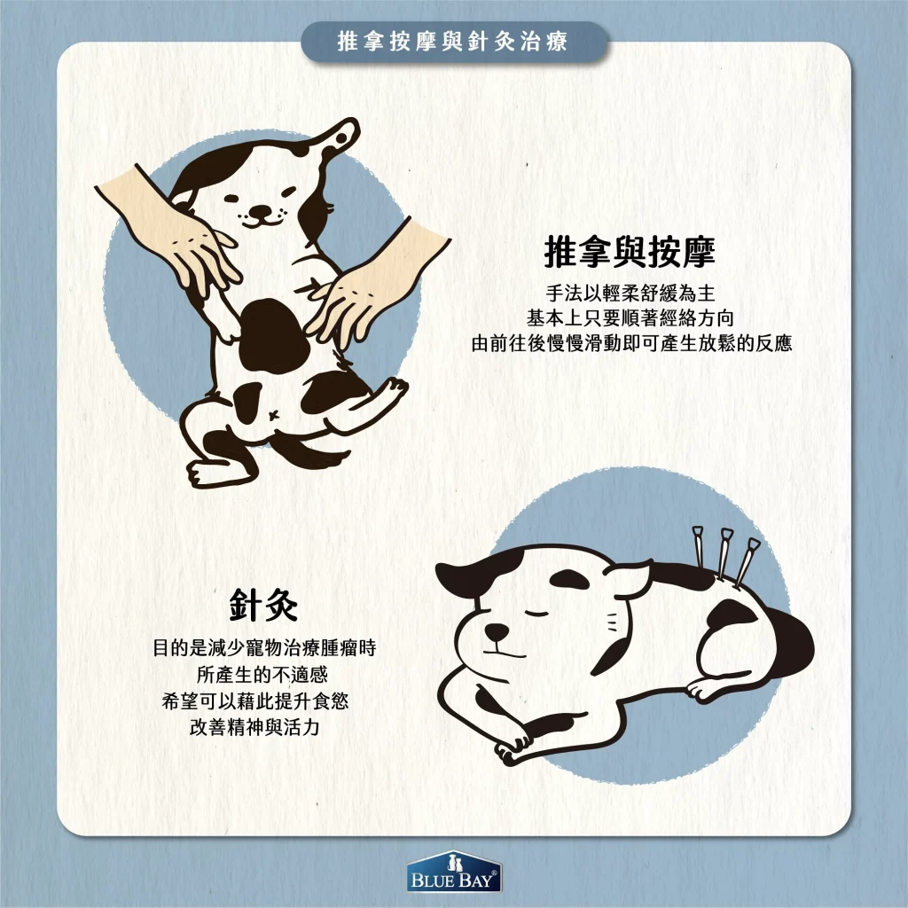 【推拿按摩與針灸治療】