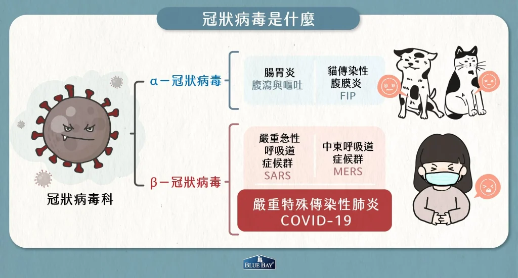 【新冠肺炎和冠狀病毒一樣嗎？他們的關係是什麼？】