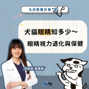 【林筱瑞獸醫師專欄】犬貓眼睛知多少，眼睛結構和視力退化預防保健