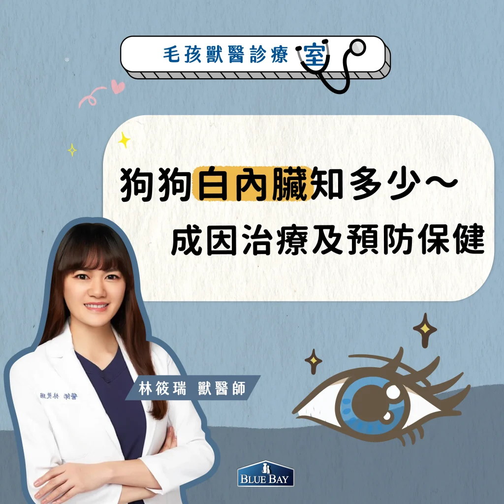 【林筱瑞獸醫師專欄】狗狗白內障知多少～成因治療及預防保健
