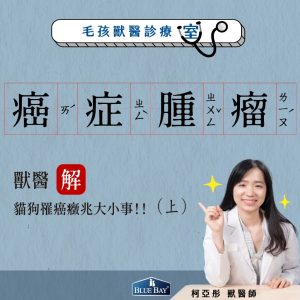 【柯亞彤獸醫專欄】罹癌癥兆大小事，居家檢測與營養照護(上)