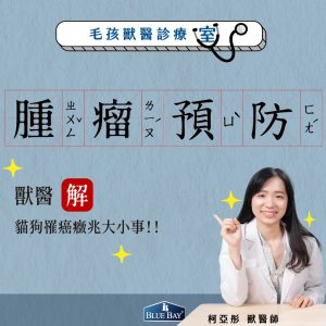 【柯亞彤獸醫專欄】良性與惡性腫瘤判斷，區分腫瘤症狀與預防治療