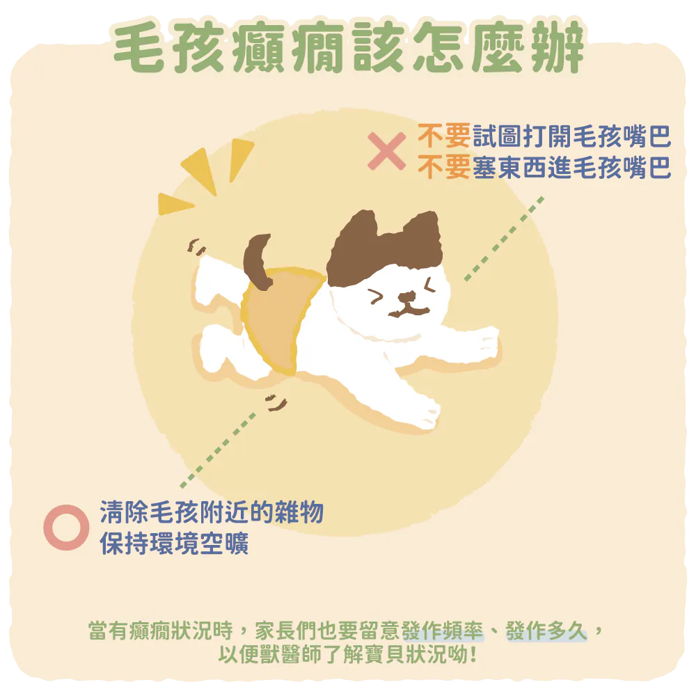 【毛孩癲癇時應該怎麼做呢?】