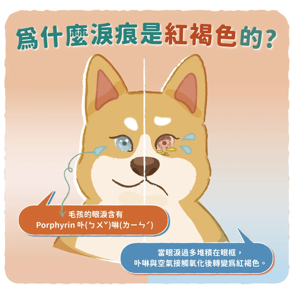 【淚痕的生成】