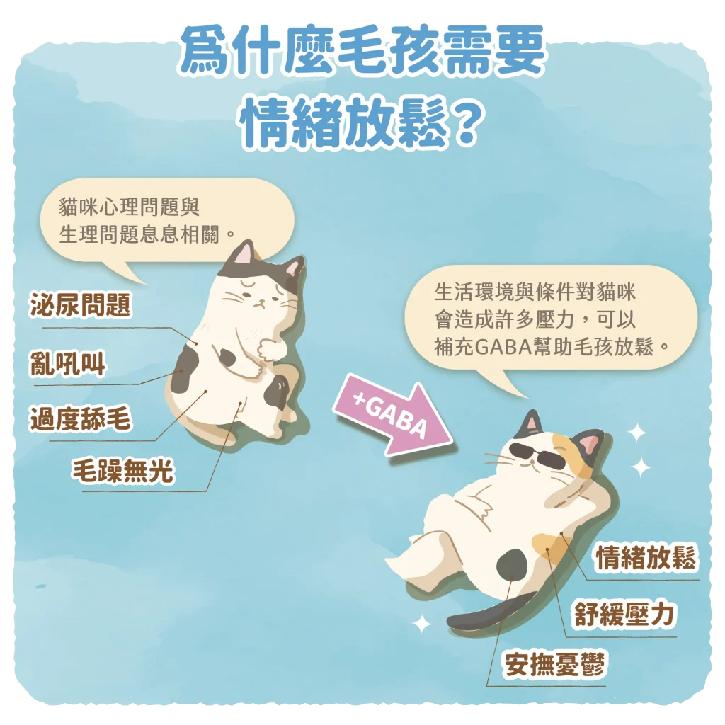 【為什麼毛孩需要情緒放鬆】
