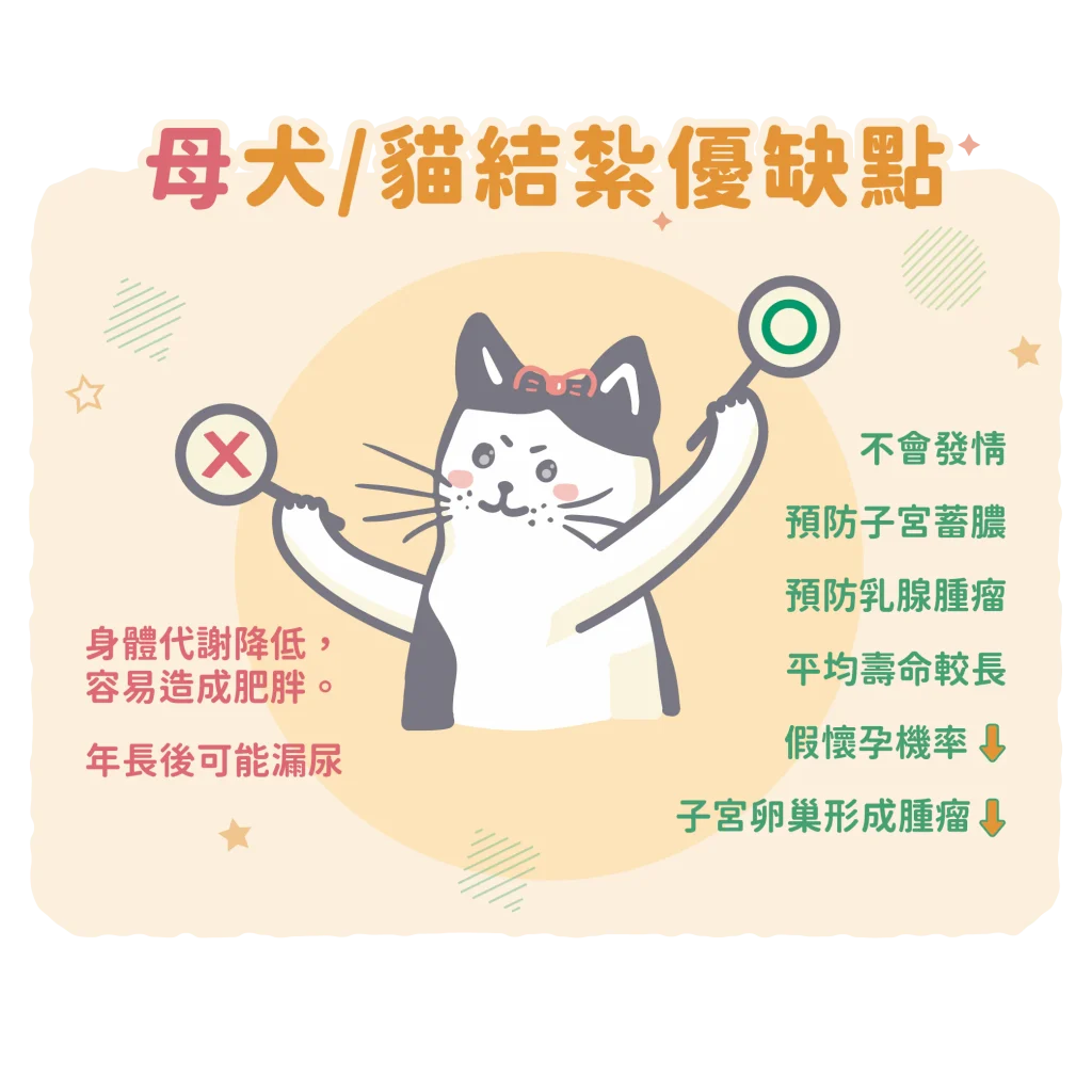 【為什麼要結紮呢？結紮優缺點比一比！】