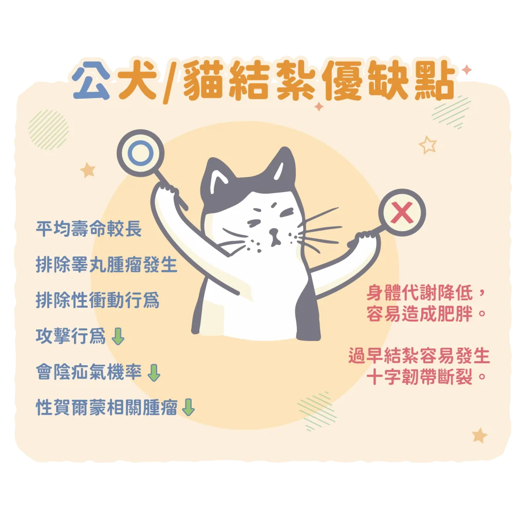 【為什麼要結紮呢？結紮優缺點比一比！】2