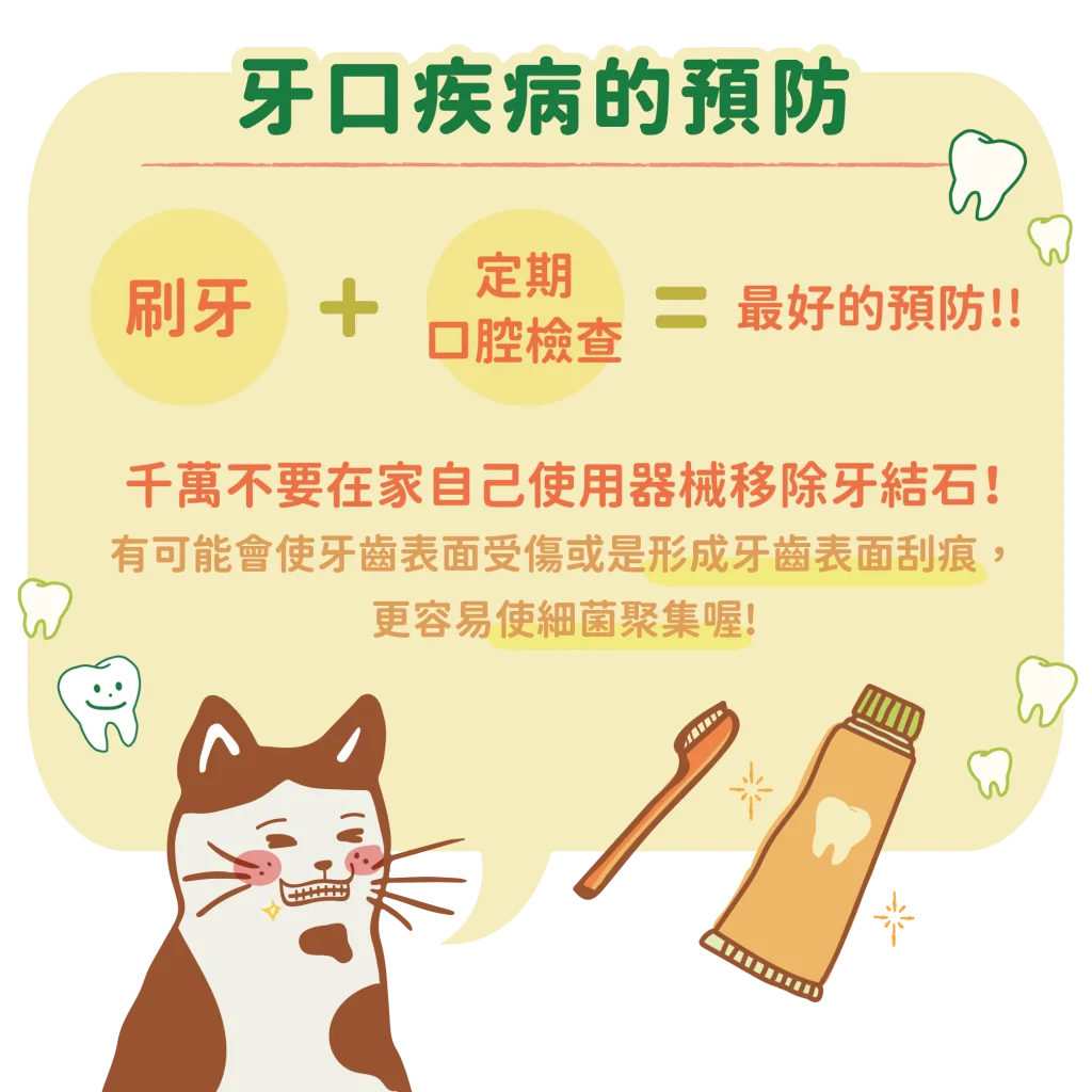 【牙口疾病的預防】