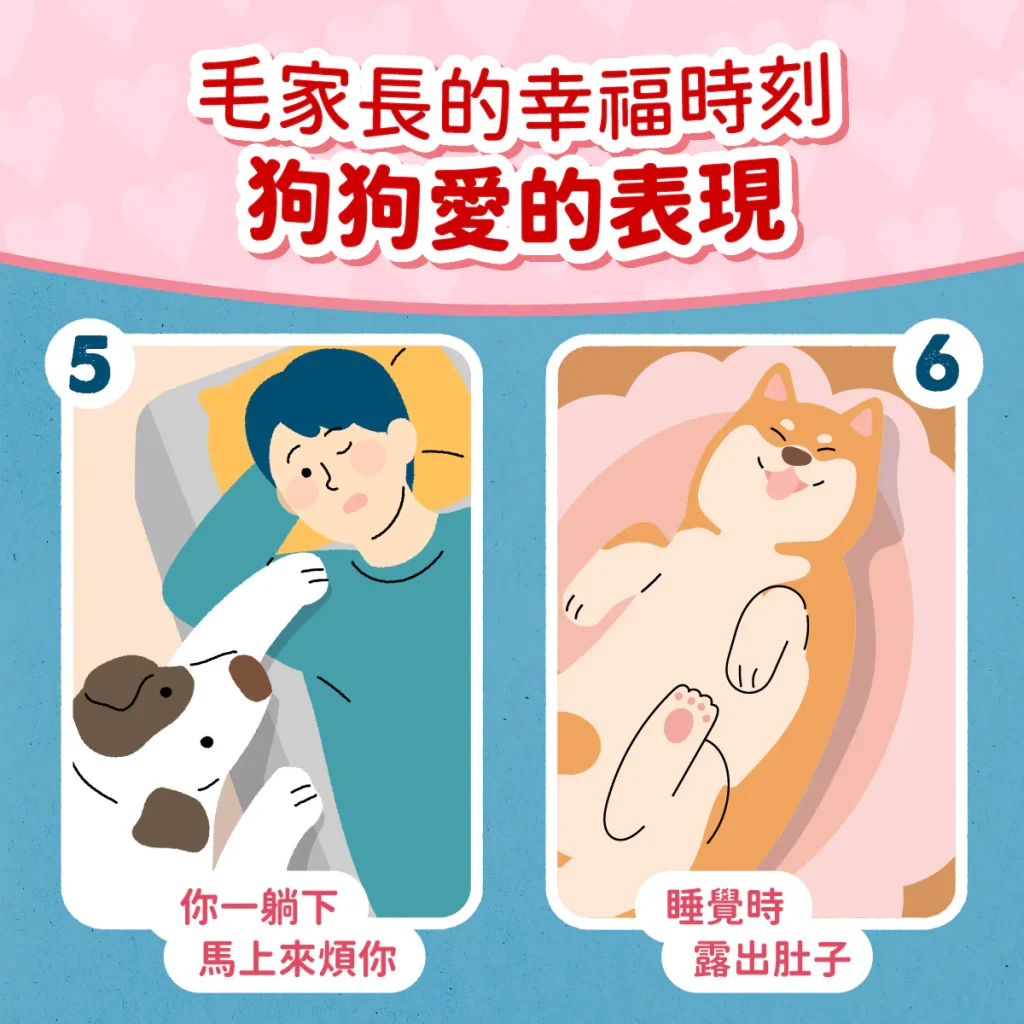 【狗狗六大愛的表現】