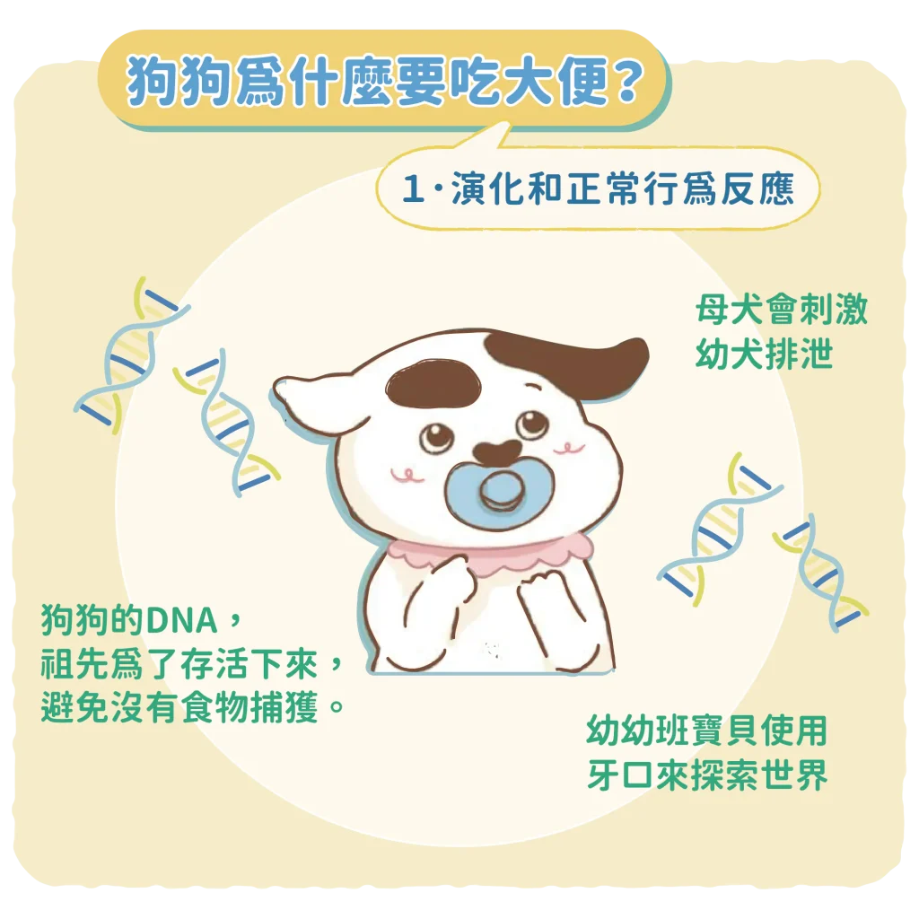 【狗狗吃大便的原因】