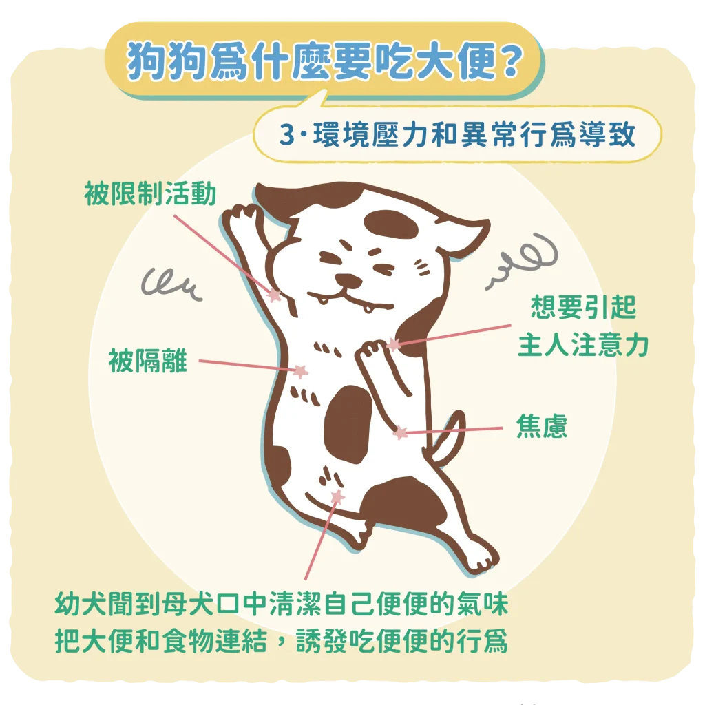 三、環境壓力和異常行為導致