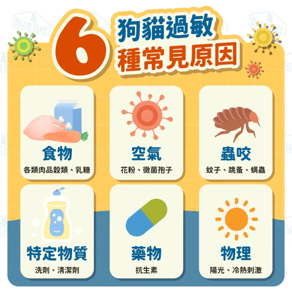 【狗狗貓貓過敏的原因】