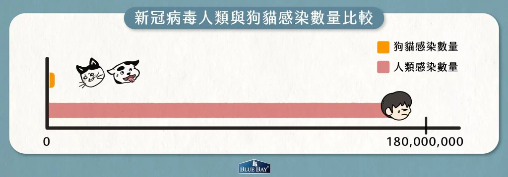 【狗貓會感染新冠病毒嗎？】