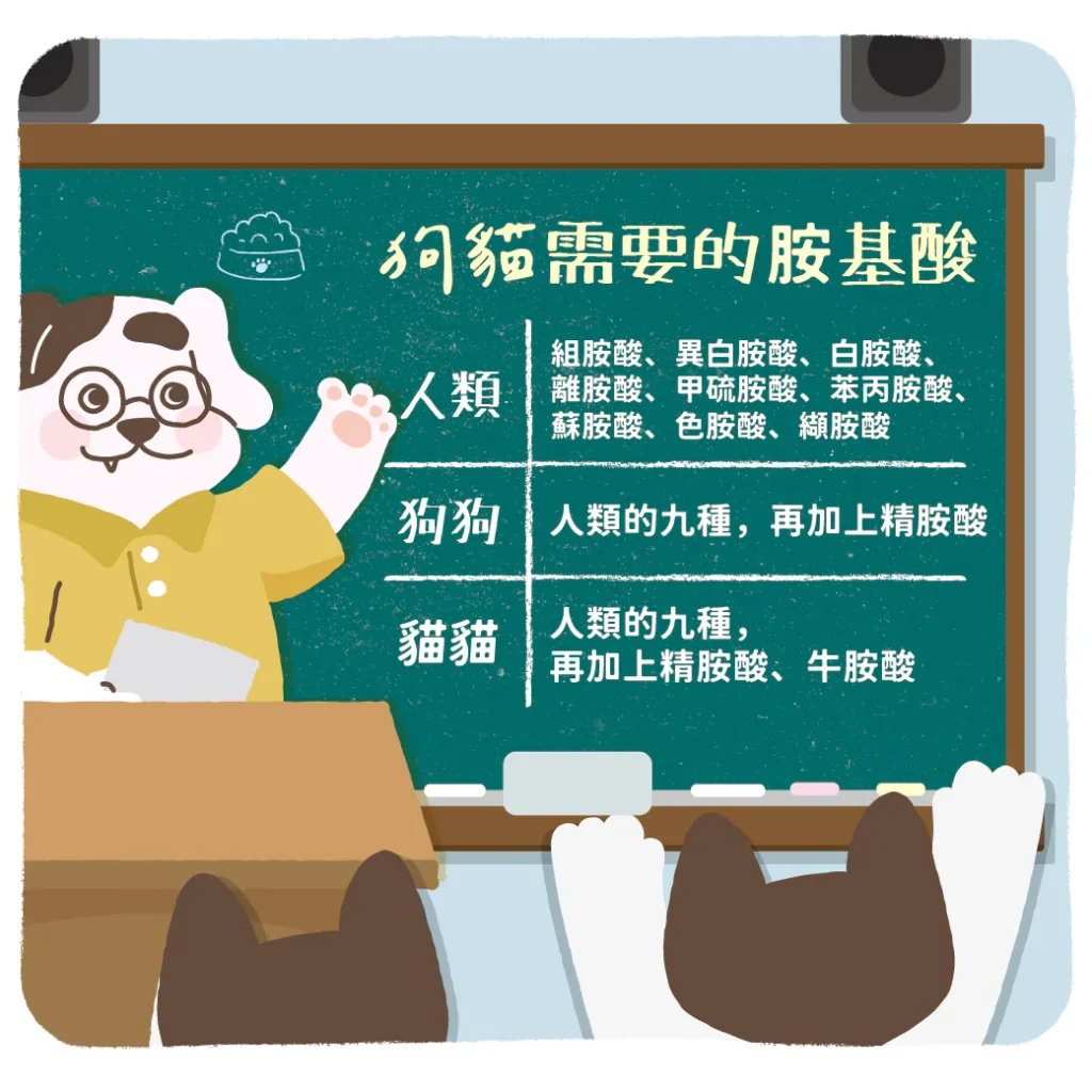 【狗貓的必需胺基酸比較】