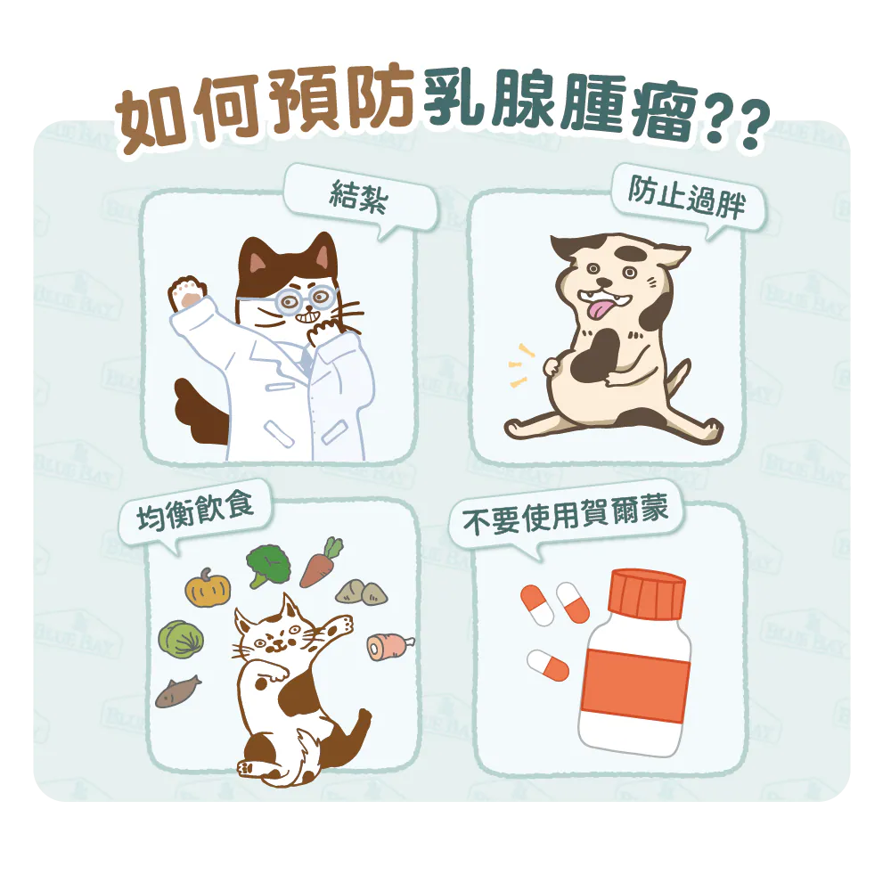 【獸醫師教你如何預防乳腺腫瘤】