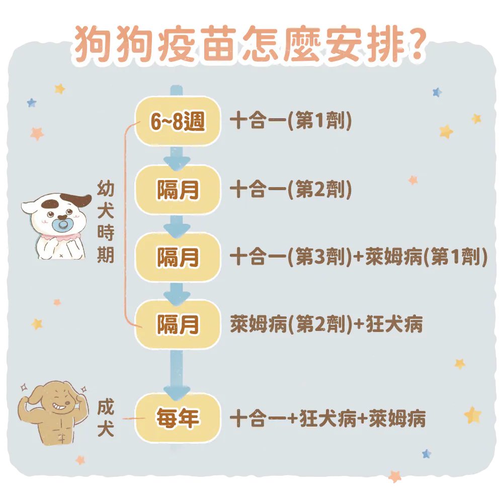 【疫苗注射行程表】