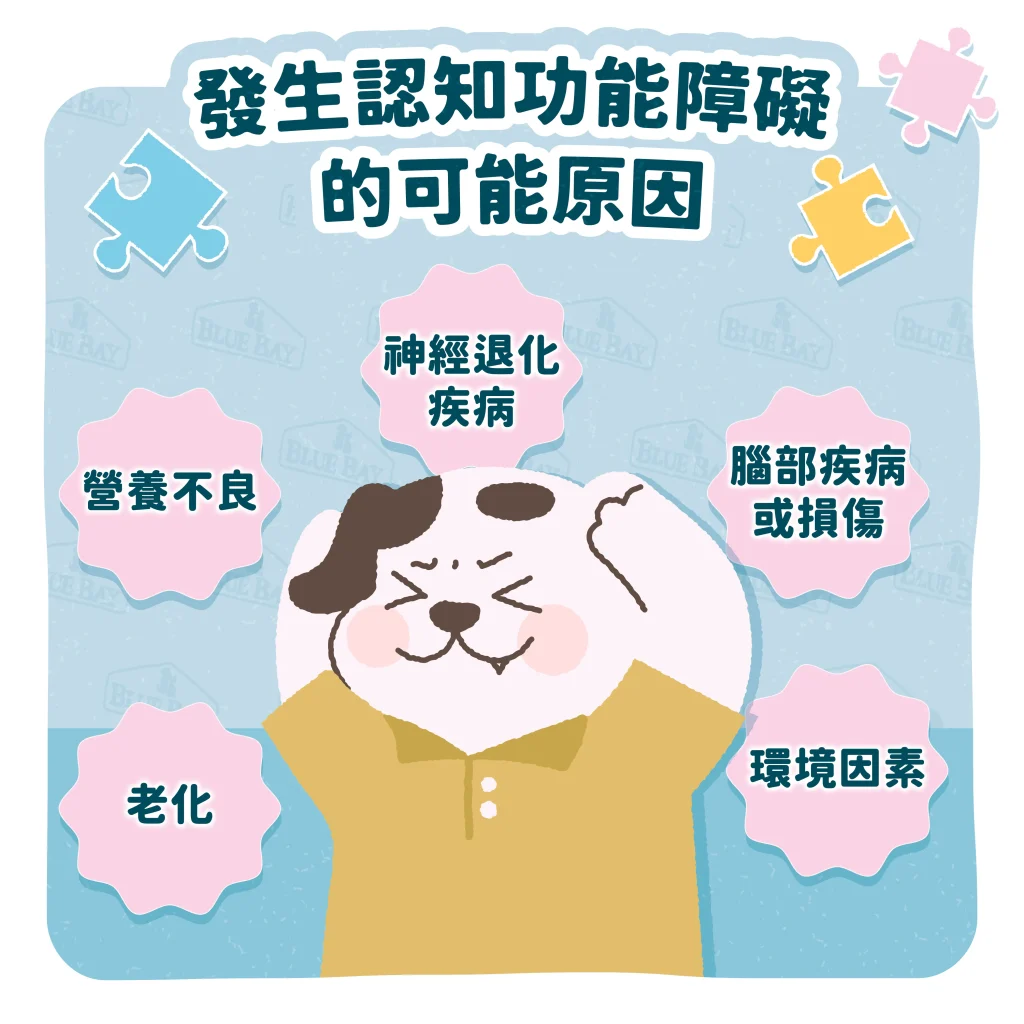 【發生認知功能障礙的可能原因】