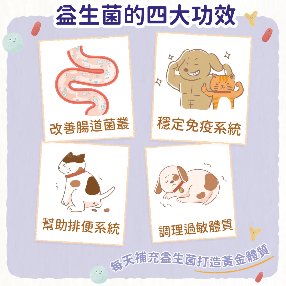 【益生菌就是乳酸菌？有什麼不同？】