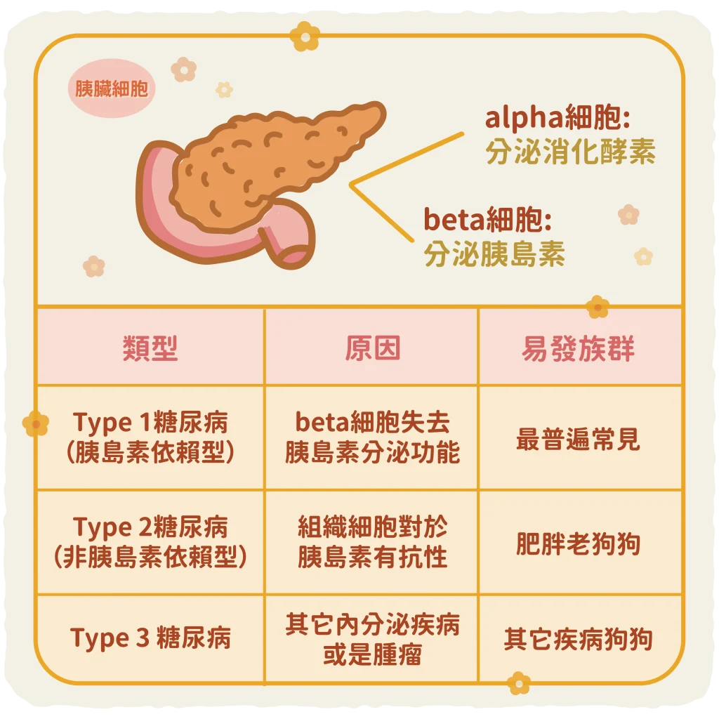 【糖尿病的類型】
