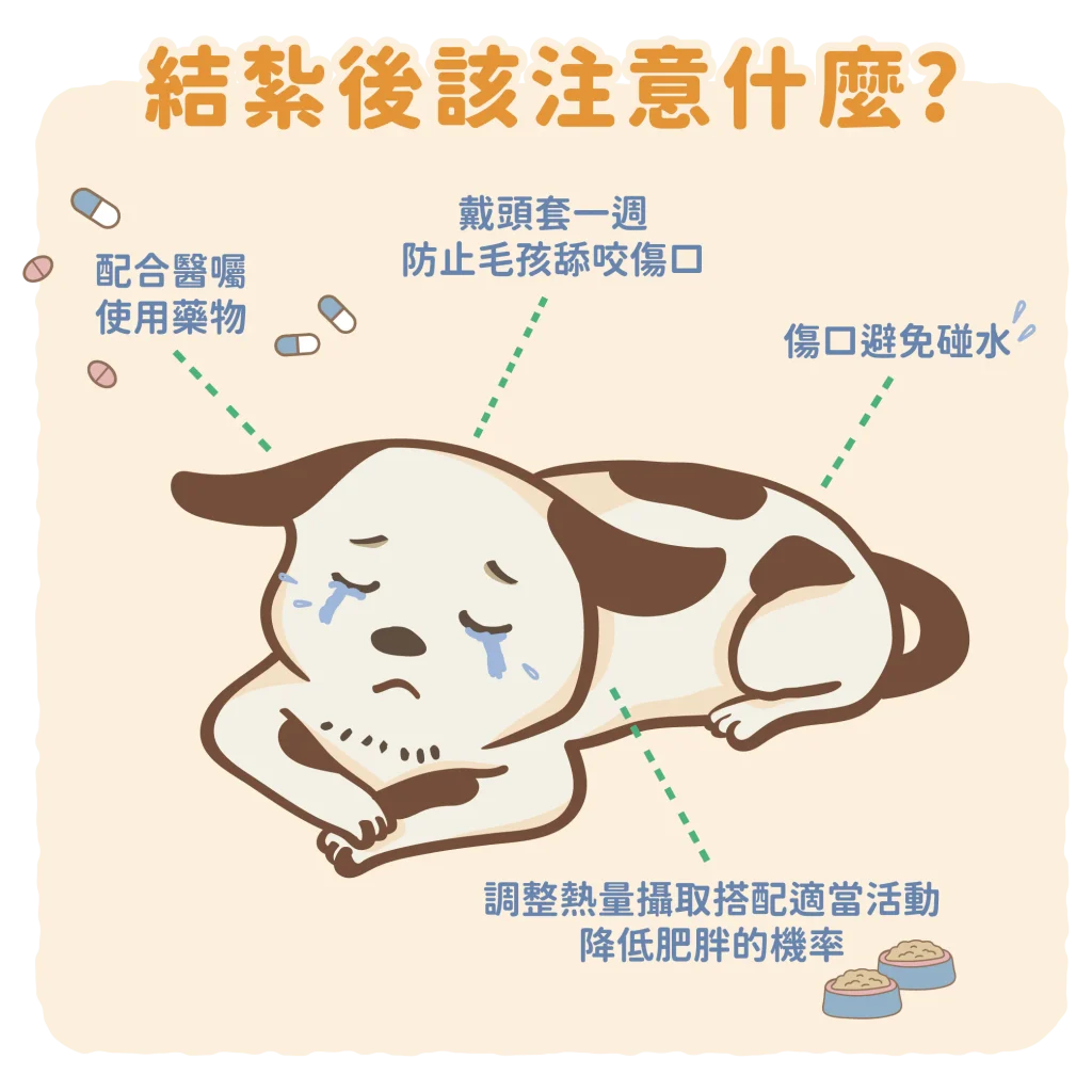 【結紮後的注意事項】