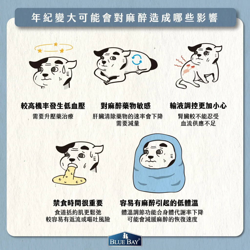 【老年動物麻醉是不是很危險？我們家狗狗貓咪年紀很大了要麻醉怎麼辦？】