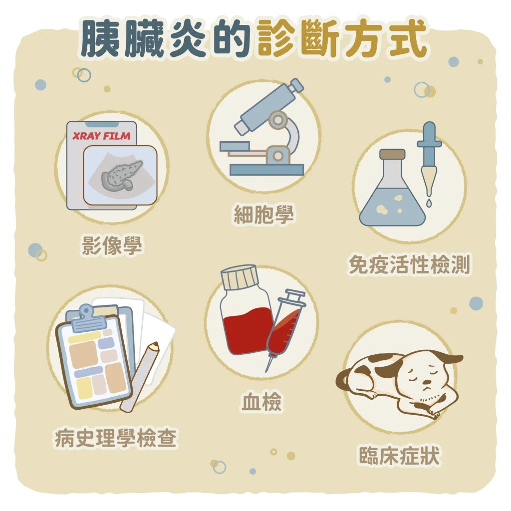 【胰臟炎的診斷方式】