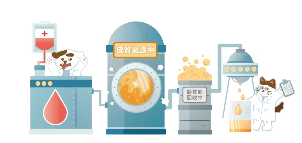 【腎衰竭分類和原因】