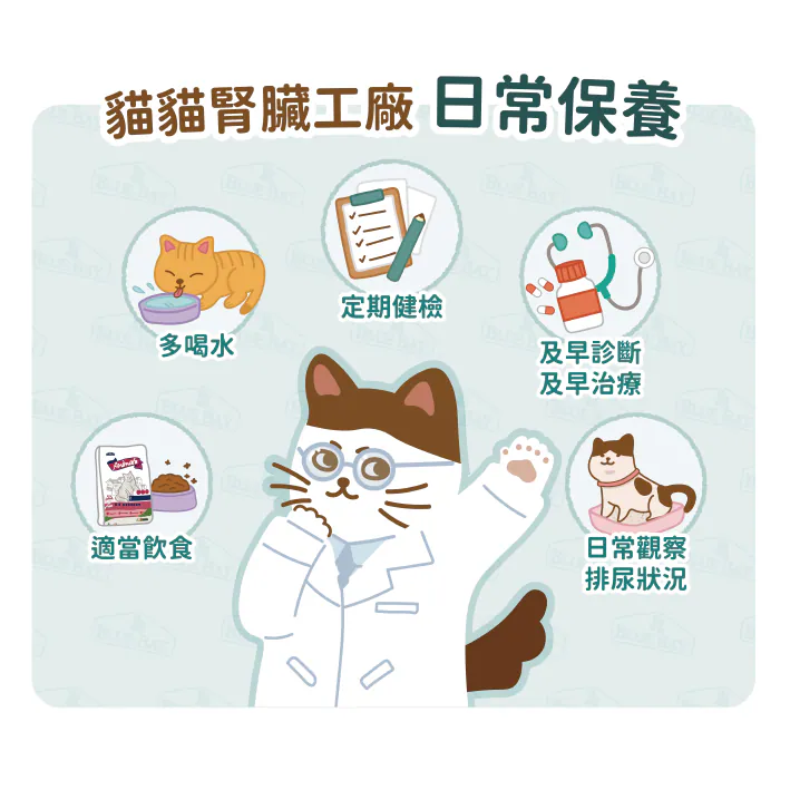 【腎衰竭的預防及治療】