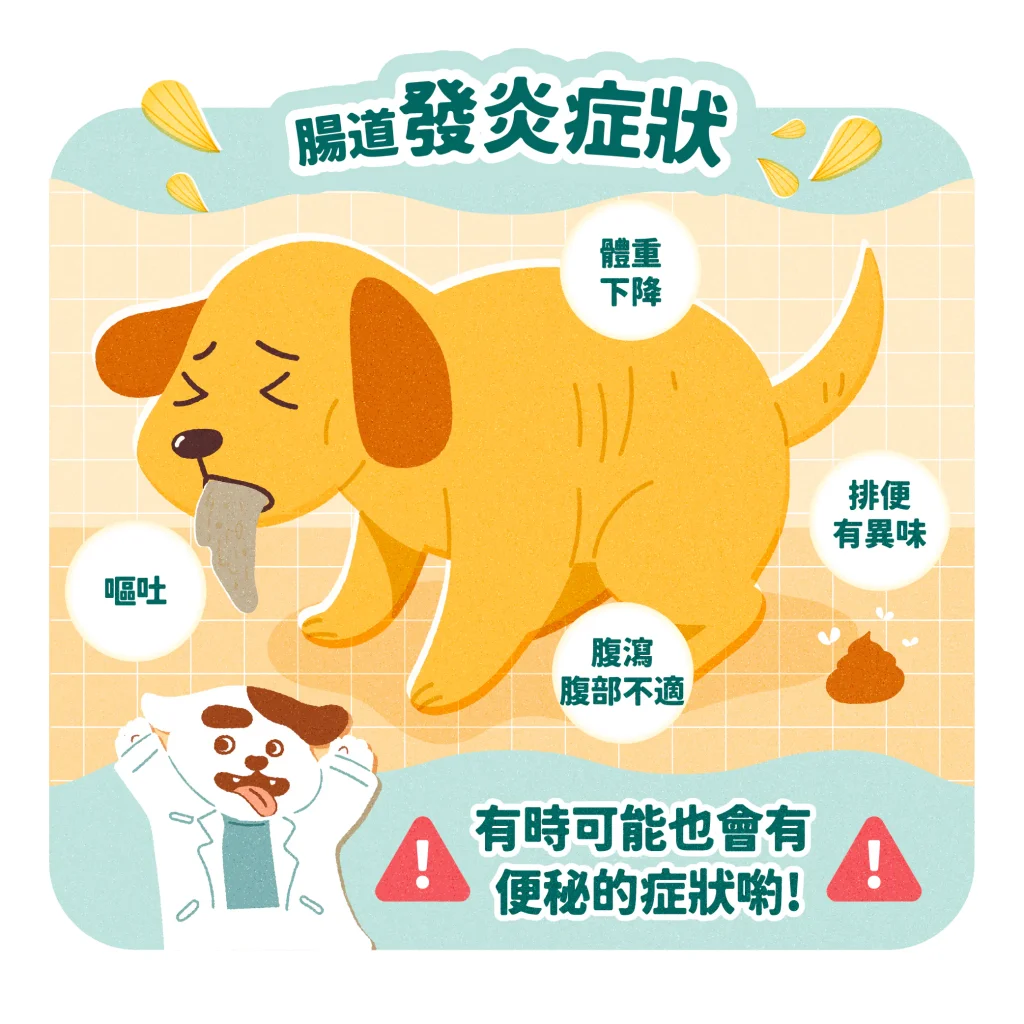 【腸道發炎症狀】